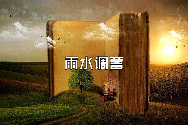 雨水调蓄