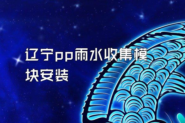 辽宁pp雨水收集模块安装