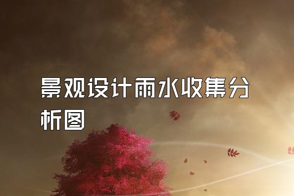 景观设计雨水收集分析图