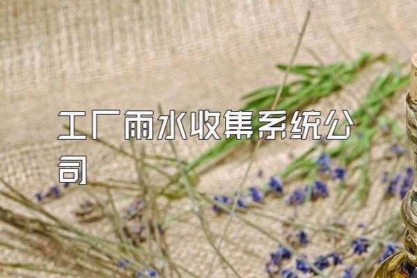 工厂雨水收集系统公司