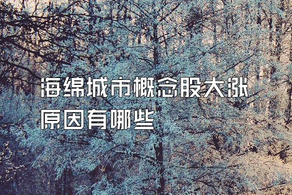 海绵城市概念股大涨原因有哪些