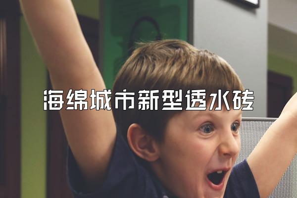 海绵城市新型透水砖