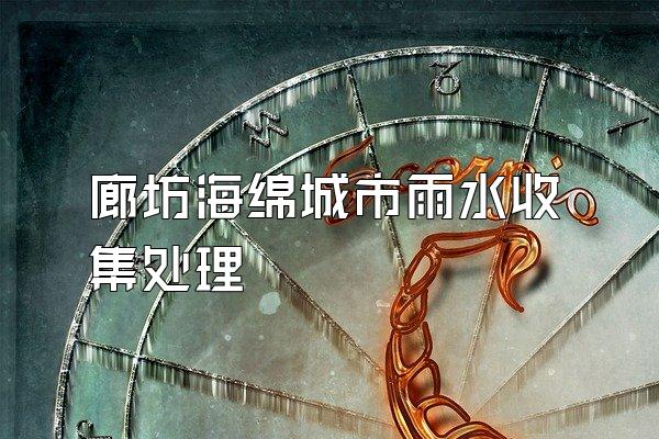 廊坊海绵城市雨水收集处理