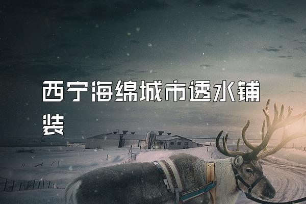 西宁海绵城市透水铺装