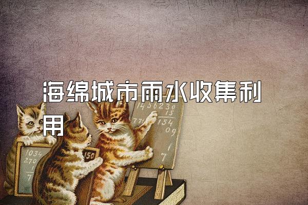 海绵城市雨水收集利用