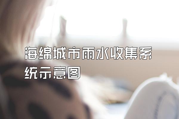 海绵城市雨水收集系统示意图