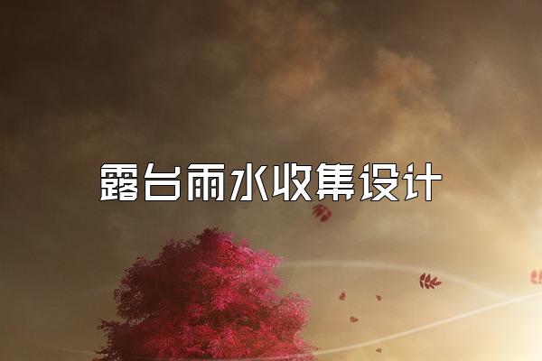 露台雨水收集设计