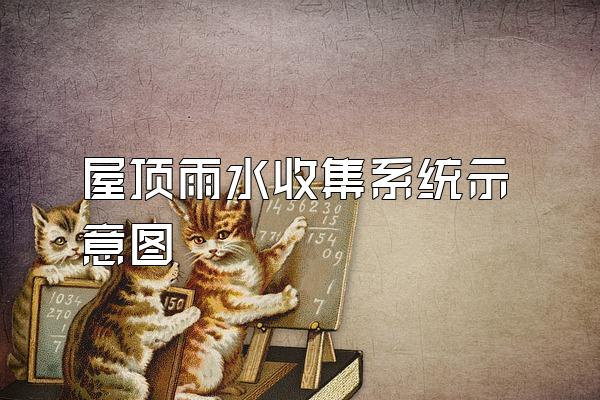 屋顶雨水收集系统示意图