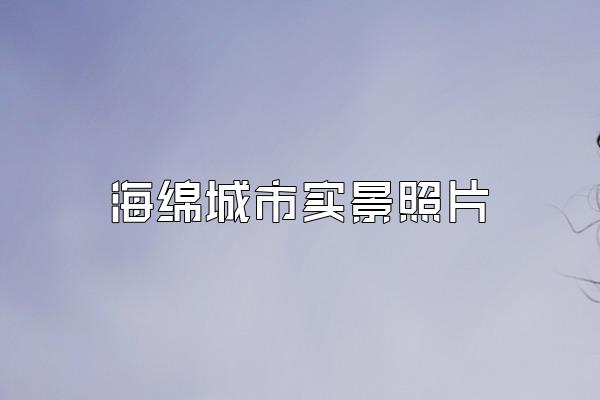 海绵城市实景照片