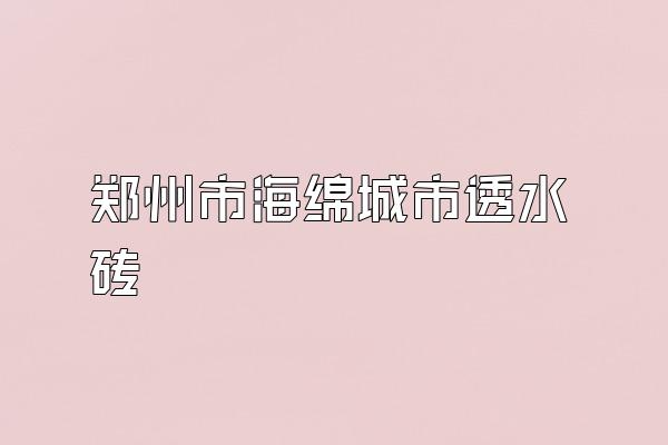 郑州市海绵城市透水砖