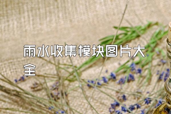 雨水收集模块图片大全