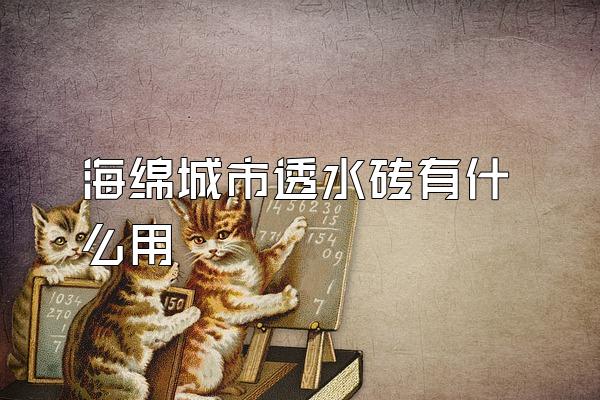 海绵城市透水砖有什么用