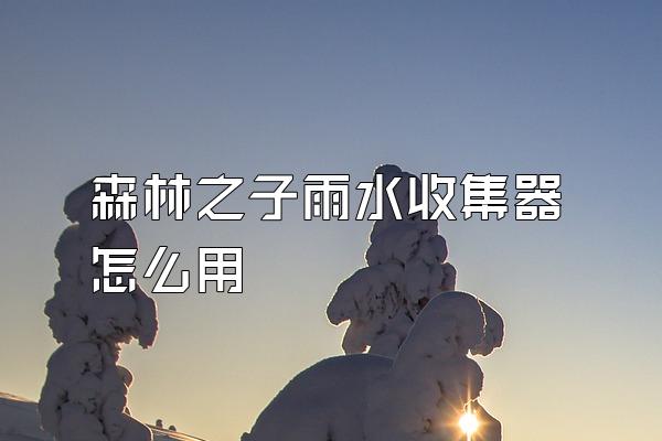 森林之子雨水收集器怎么用