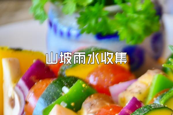 山坡雨水收集