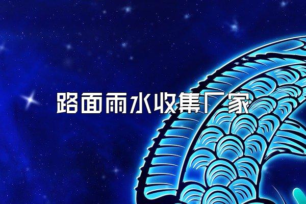 路面雨水收集厂家