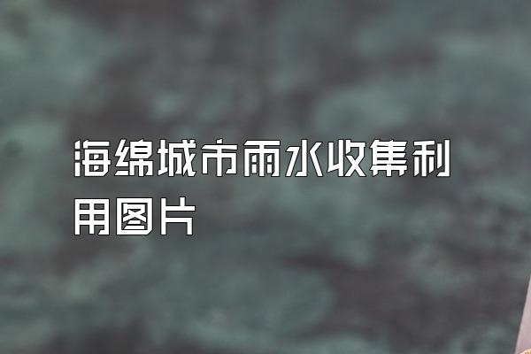 海绵城市雨水收集利用图片