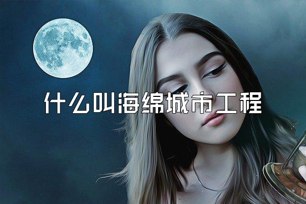 什么叫海绵城市工程