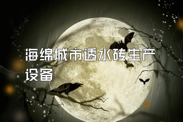 海绵城市透水砖生产设备