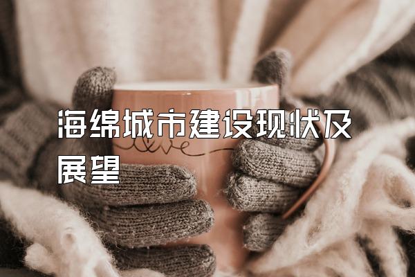 海绵城市建设现状及展望