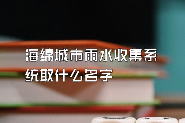 海绵城市雨水收集系统取什么名字