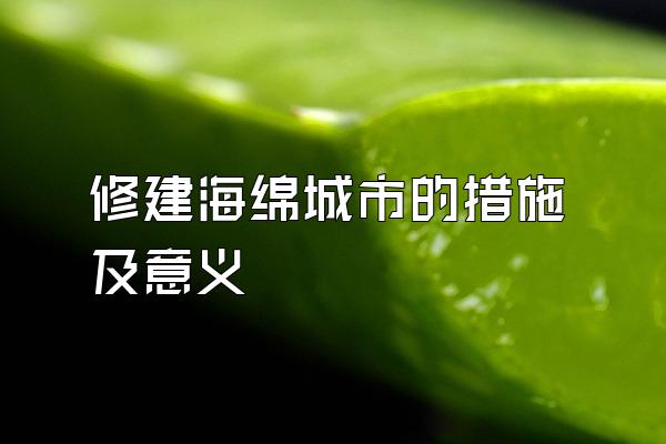 修建海绵城市的措施及意义