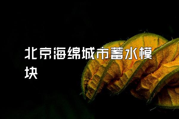北京海绵城市蓄水模块
