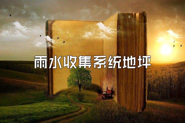 雨水收集系统地坪