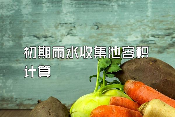 初期雨水收集池容积计算