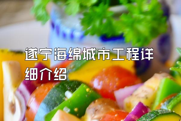 遂宁海绵城市工程详细介绍