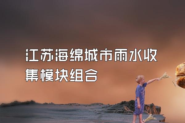 江苏海绵城市雨水收集模块组合