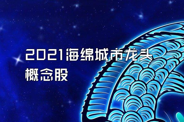 2021海绵城市龙头概念股