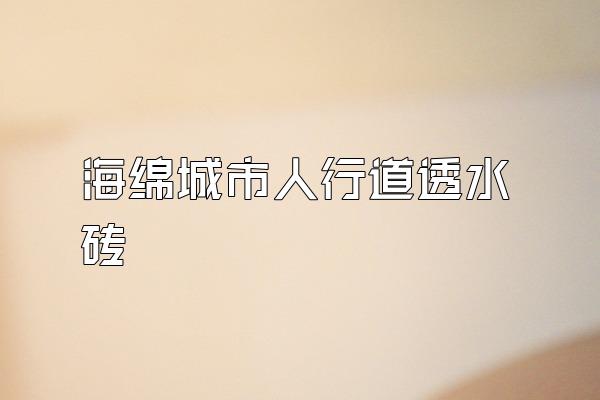 海绵城市人行道透水砖