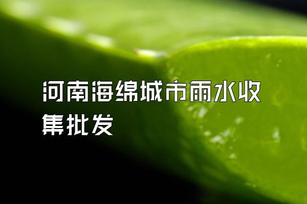 河南海绵城市雨水收集批发