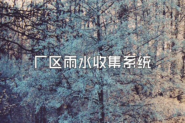 厂区雨水收集系统