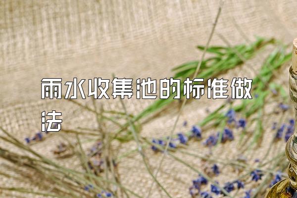 雨水收集池的标准做法