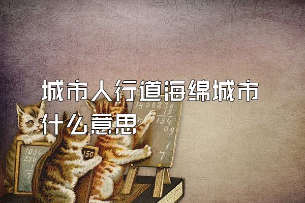 城市人行道海绵城市什么意思
