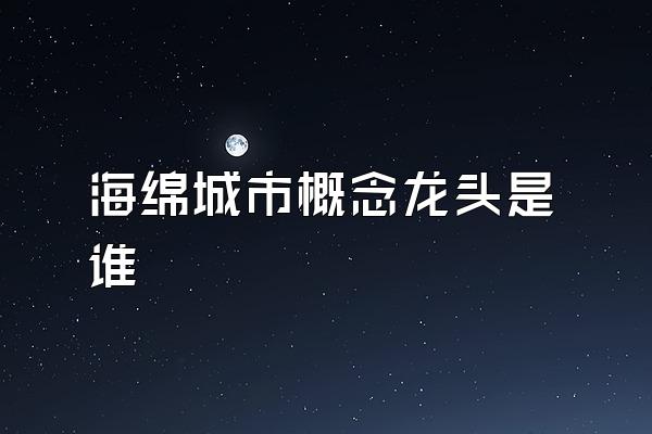 海绵城市概念龙头是谁