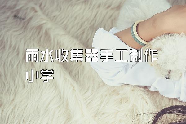 雨水收集器手工制作小学