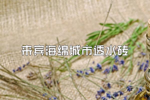来宾海绵城市透水砖