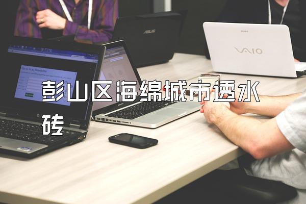彭山区海绵城市透水砖