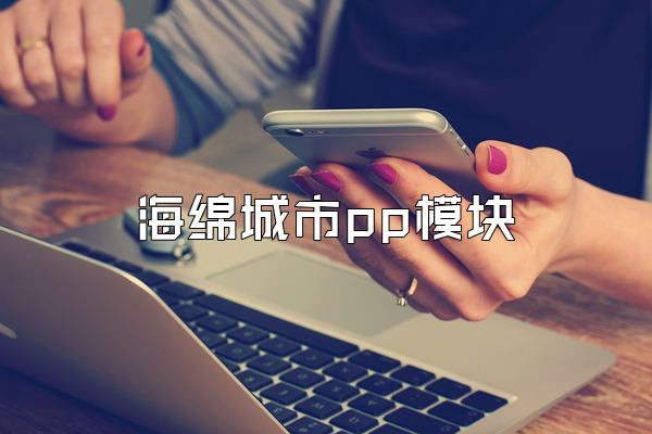 海绵城市pp模块