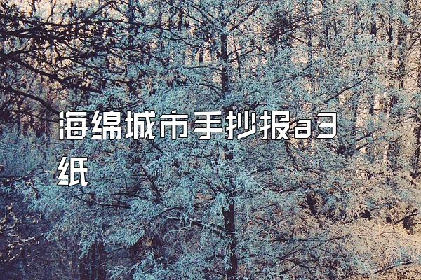 海绵城市手抄报a3纸