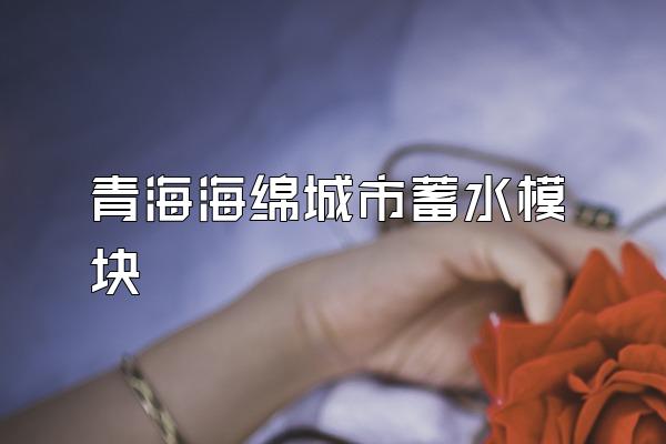 青海海绵城市蓄水模块