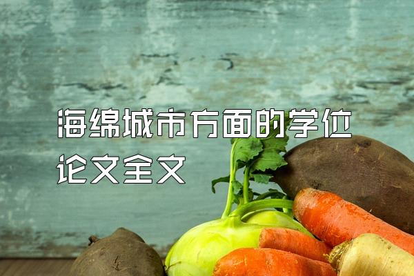 海绵城市方面的学位论文全文