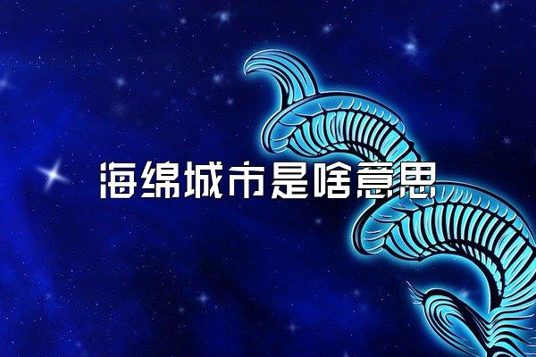 海绵城市是啥意思