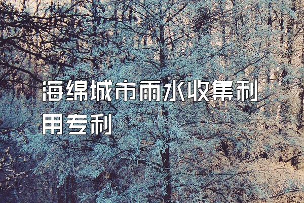 海绵城市雨水收集利用专利