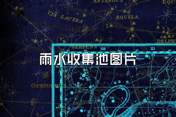 雨水收集池图片