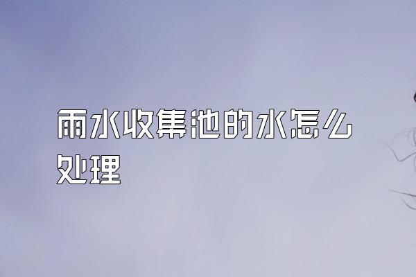 雨水收集池的水怎么处理