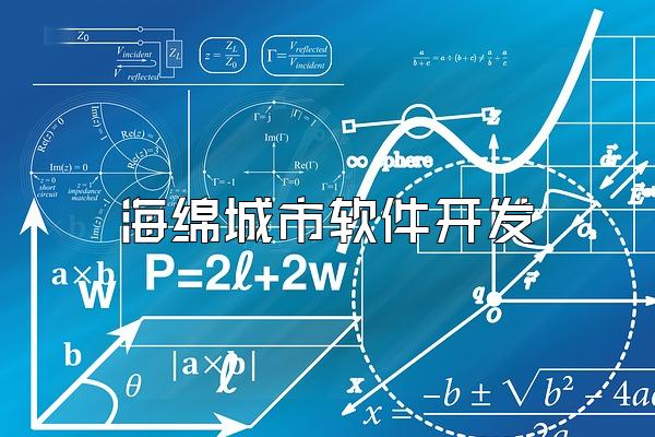 海绵城市软件开发