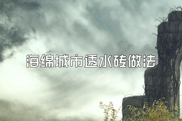 海绵城市透水砖做法